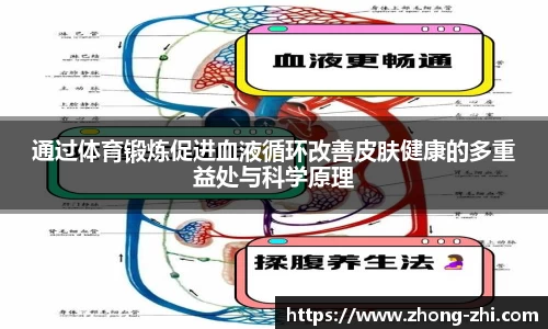 通过体育锻炼促进血液循环改善皮肤健康的多重益处与科学原理