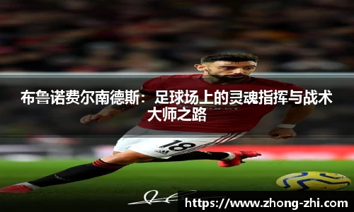 ng体育官网