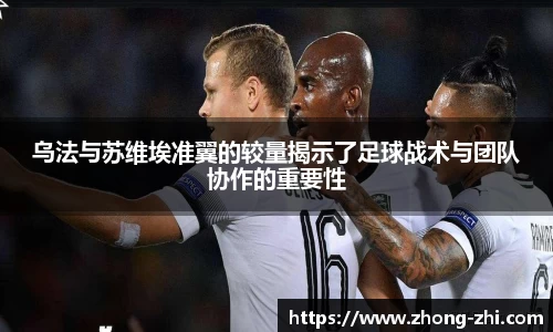 ng体育官方网站